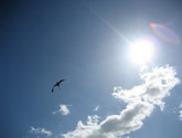 Производство наклеек. Наклейки на стекло, светоотражающие наклейки.