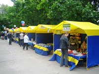 Уличная торговля, организация уличной торговли.