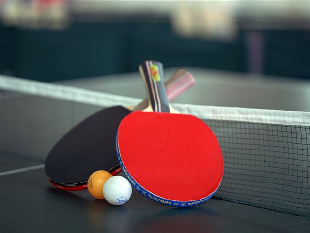 Клуб настольного тенниса, инвентарь для настольного тенниса.