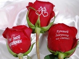 Наклейки на цветы, наклейки для цветов.