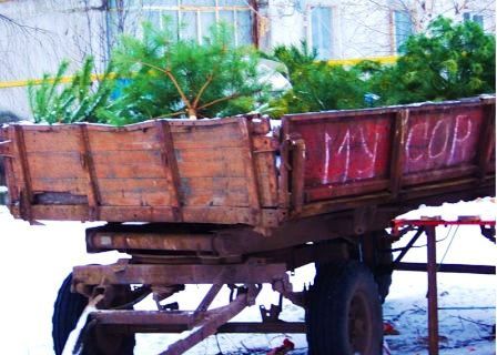 Услуги по уборке мусора, комплексная уборка.
